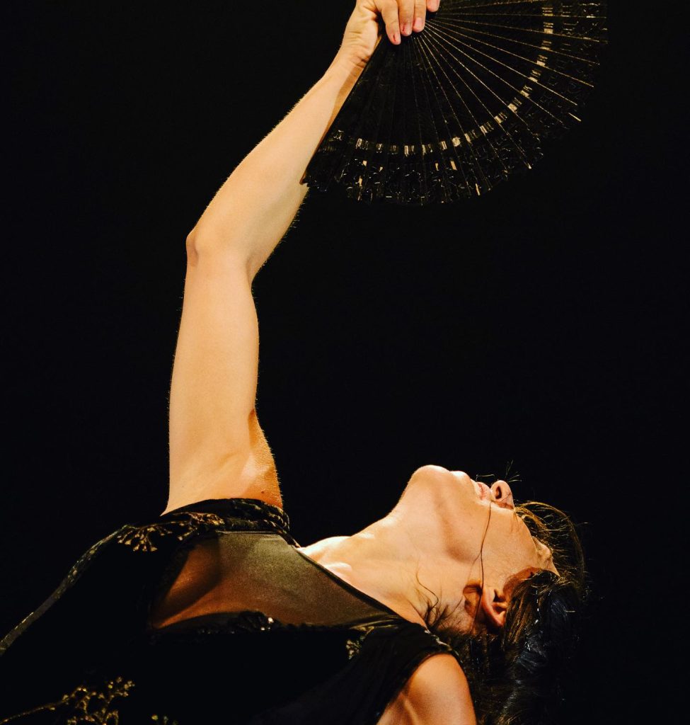 portada-fragilidades