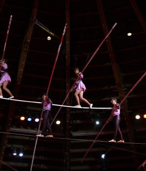 acrobats-78047_1280