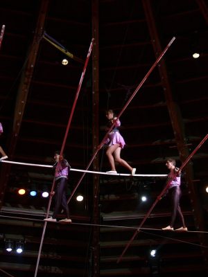 acrobats-78047_1280